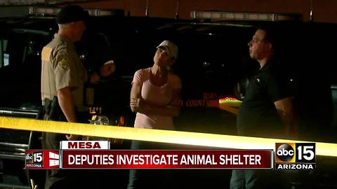 Authorities investigating reports of malnourished dogs at East Valley animal rescue