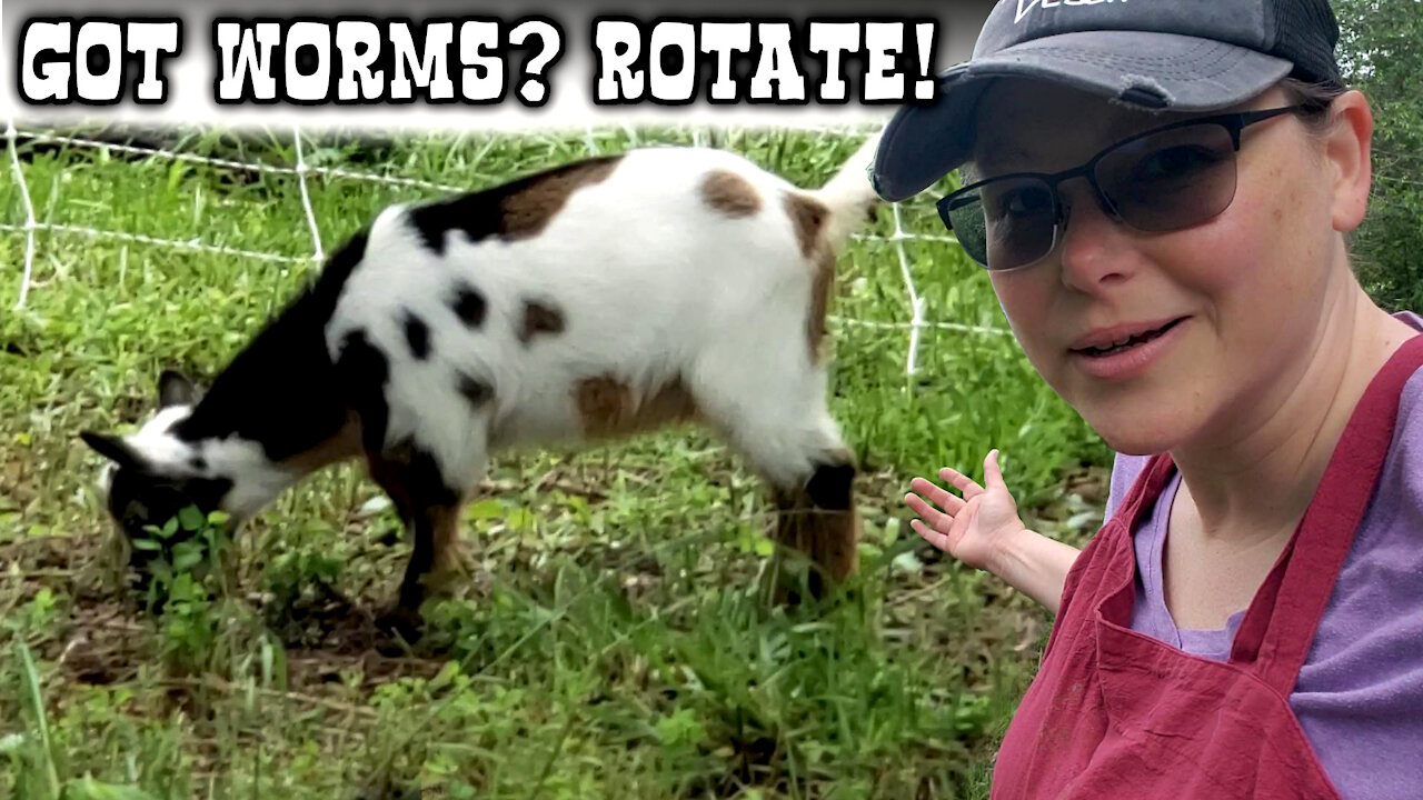 🐐 Don't Want Worms? Rotate your Goats!