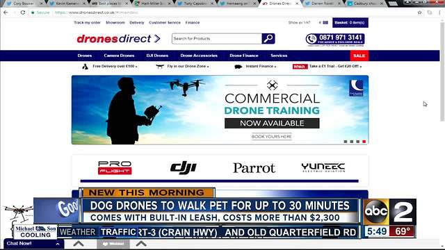 Want a drone that can walk your dog?