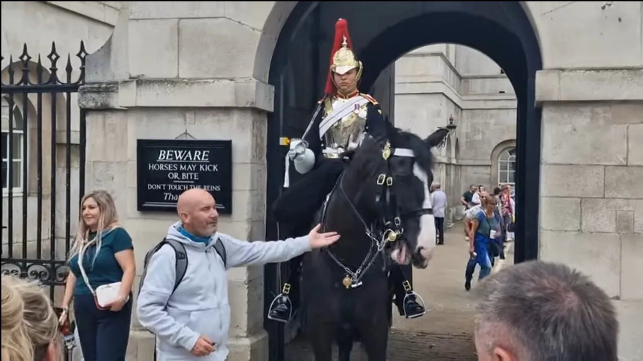 He was lucky the tourist told him not to touch the reins #horseguardsparade