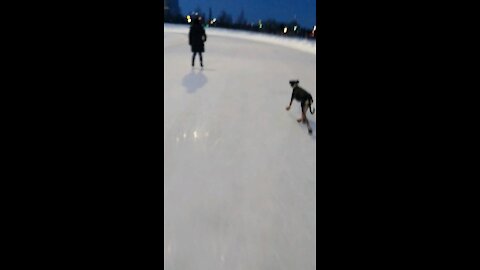 Speedy skating saluki doggo