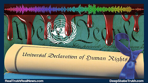 📃 🇺🇸 The UN "Universal Declaration of Human Rights" Has Replaced the US Constitution ★ Is This BS? ⭑.ᐟ Links Below 👇