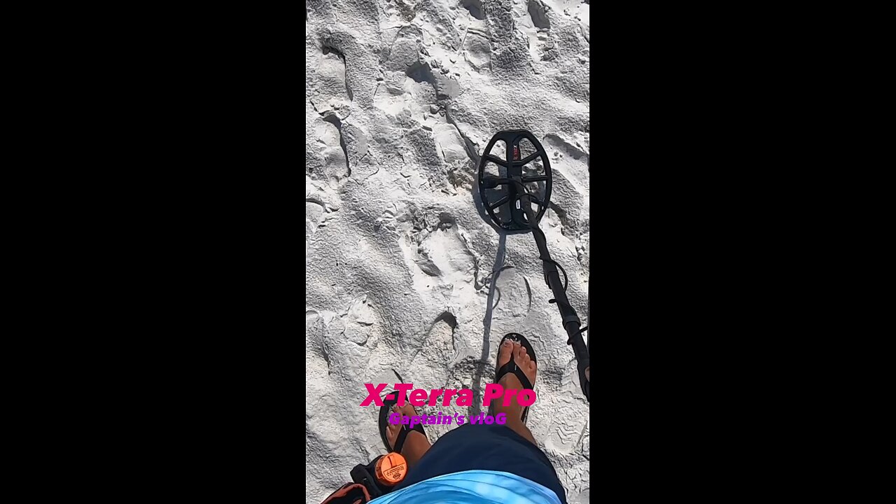 Beach Metal Detecting