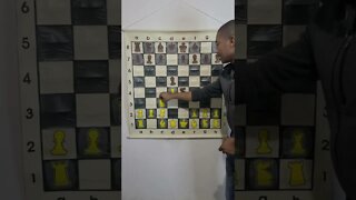 What is the Hübsch Gambit in Chess?