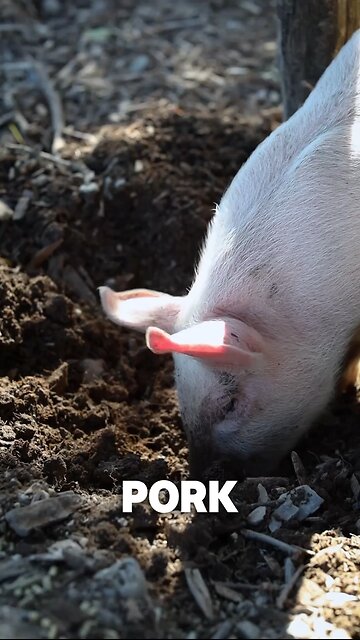 Move with wisdom ‼️