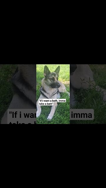 pov: Trying To Bath My Doggo 😂 (Untouchable)