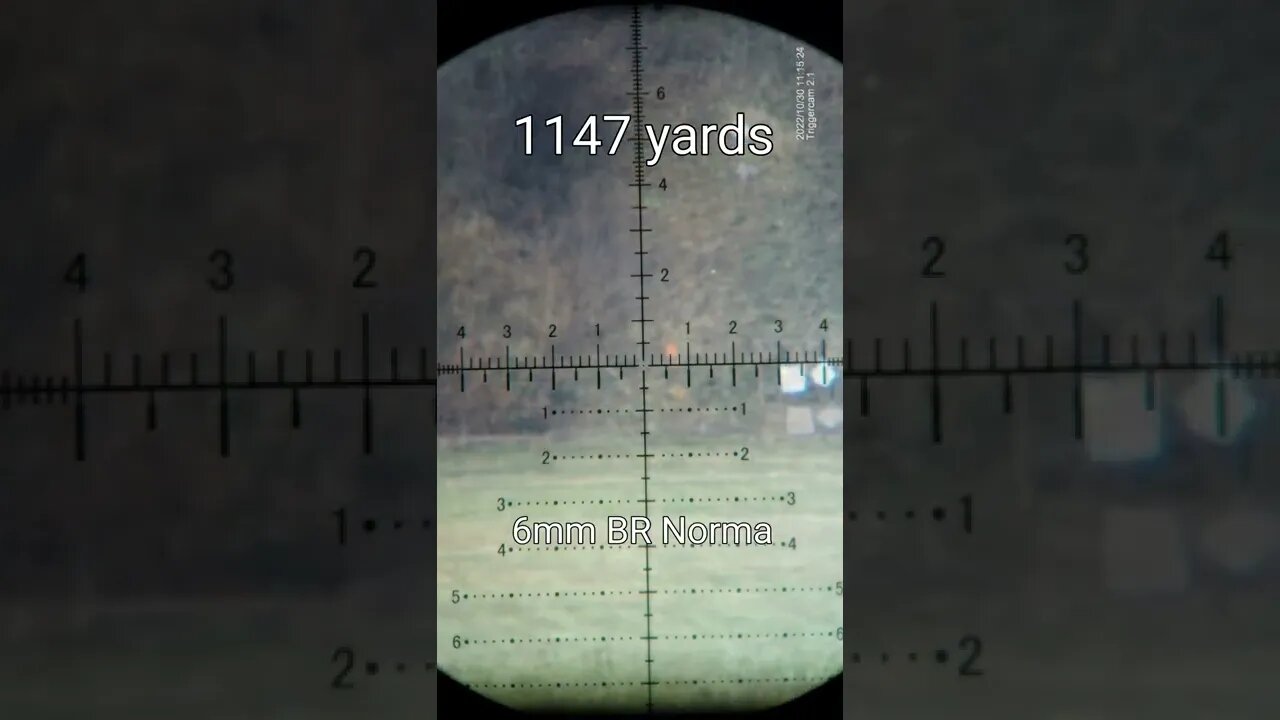 1147 yard Headshot