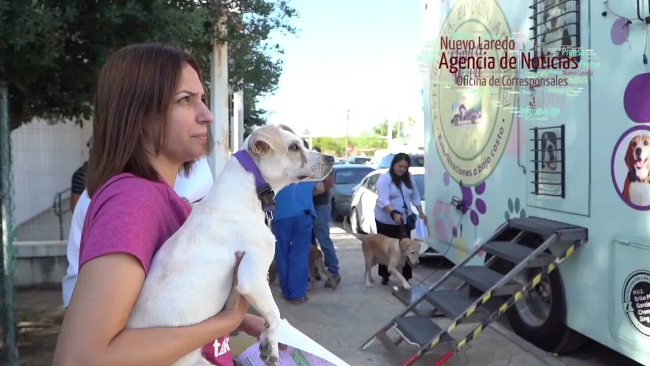 Agradecen ciudadanos Campaña Gratuita de esterilización canina y felina