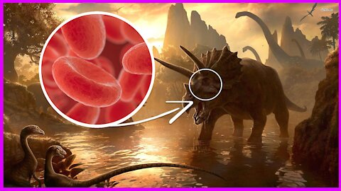 ScienceNews: Soft Tissue In Dinosaurs 2021 | Apologetics | Christianity