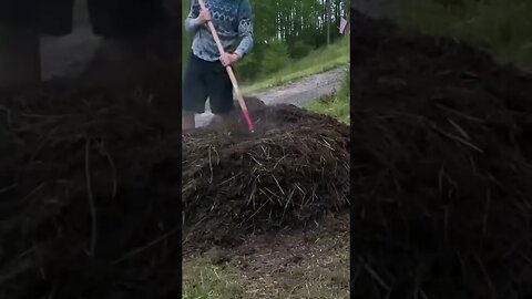 18 Day Compost 🪴 // 3rd Flip #gardening