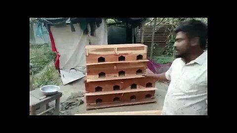 The story of selling the pigeon cage of Md.kalam Bhai...মো :কালাম ভাইয়ের কবুতরের খাঁচার বিক্রির গল্প