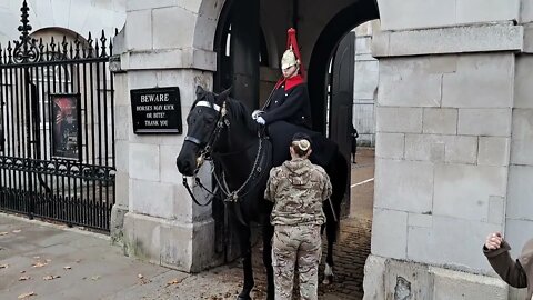 brushing the guards coate #horseguardsparade