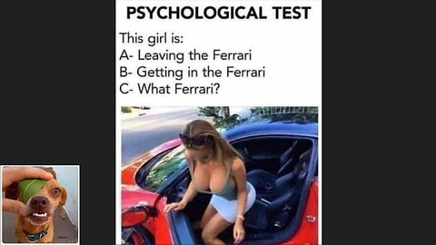 Memes That Will 99.907% Make You Laugh. (e132)