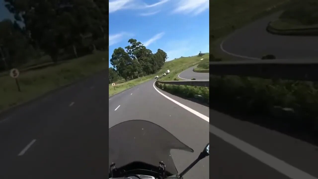 no one knows what it,s like #jontyknine #shorts #dogsofyoutube