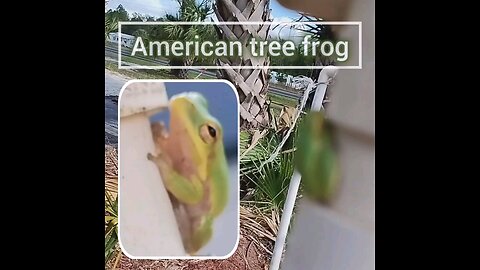 #America