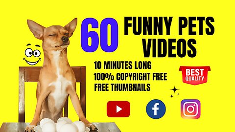 I will make viral 10 minutes funny pets youtube videos or facebook videos