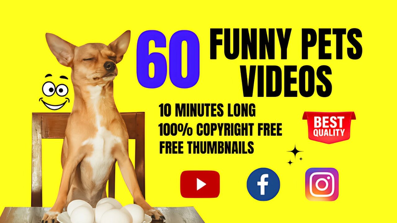 I will make viral 10 minutes funny pets youtube videos or facebook videos