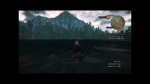 The Witcher 3: Wild Hunt Part 115-Bear Attack