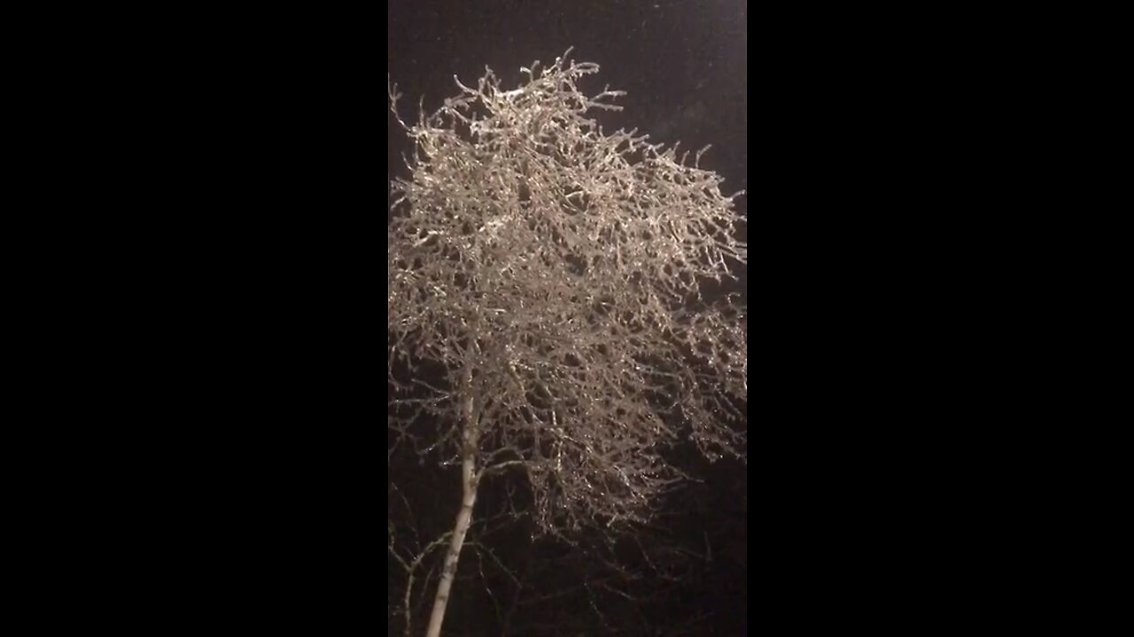 Weather