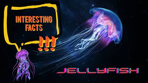Interesting facts about Jellyfish