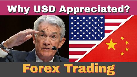 💰Why Does USD Go Up? Forex Trading for Beginners