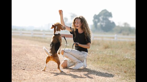 How's woman training her dog 🐶funny dog