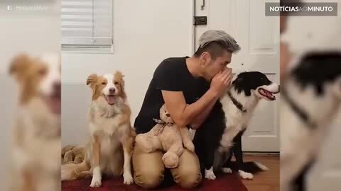 Dono conta segredos para seus cães!