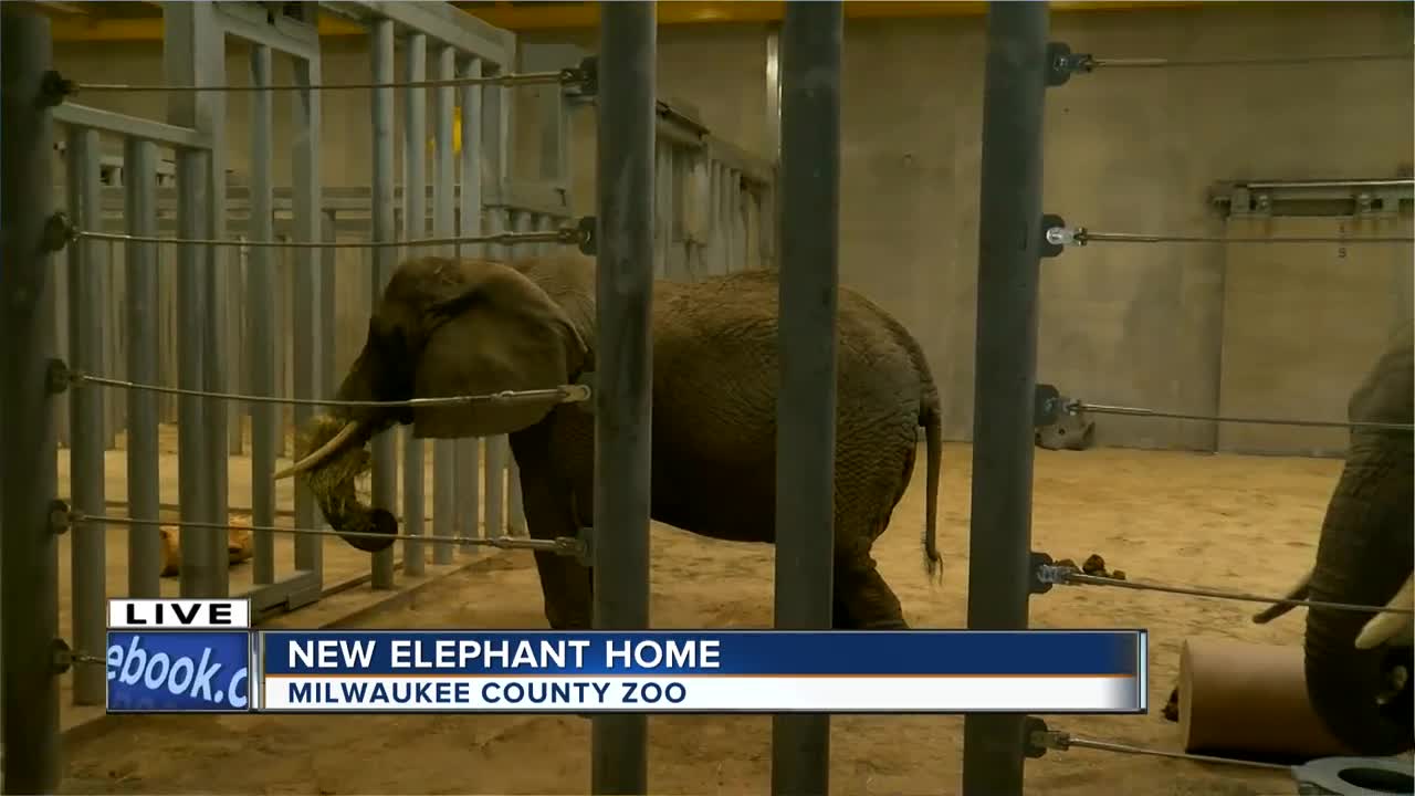 Milwaukee County Zoo opens new elephant exhibit