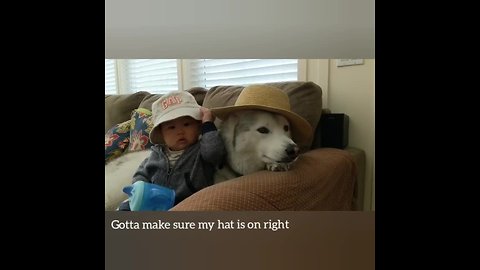Husky and baby model various hats