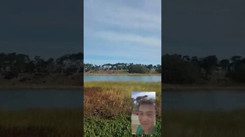 Marathon Training 3: Lake Merced 2x (8.77 mi)