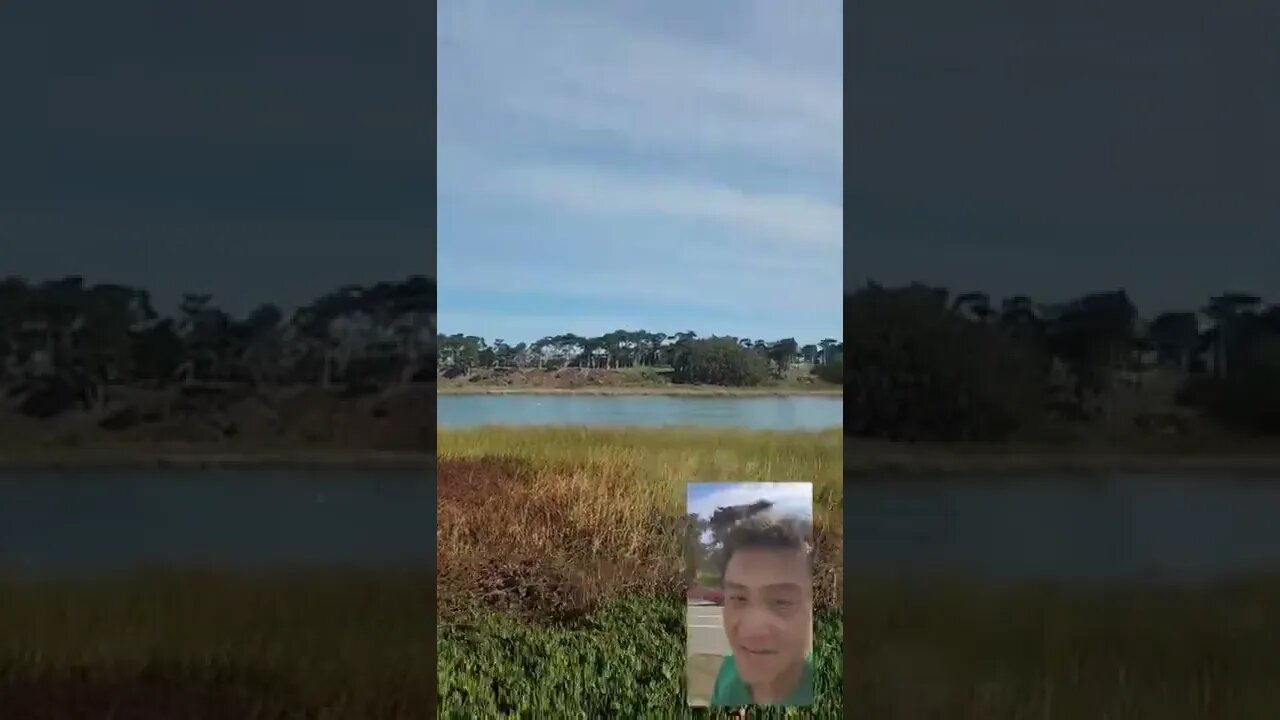 Marathon Training 3: Lake Merced 2x (8.77 mi)