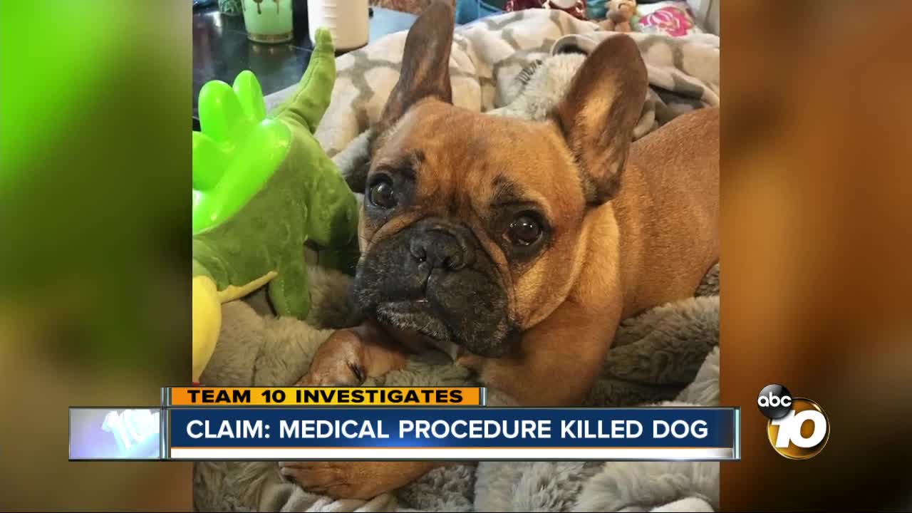 Claim: Medical procedure killed dog