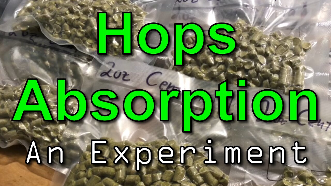 Determining Hops Absorption Rate: An Experiment