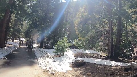 Lake Tahoe | Rubicon Trail