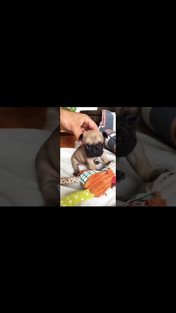 Neck message sound good. #shorts