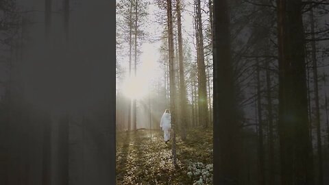 Nature will provide healing. #shorts #outdoors #nature