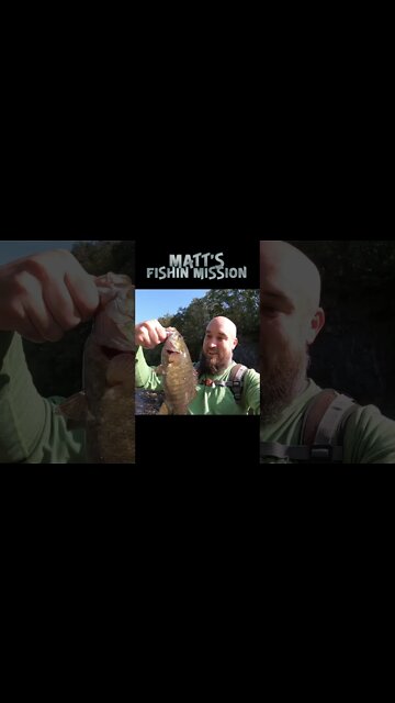 HUGE Smallmouth bass - road trip to Paint Creek Ohio