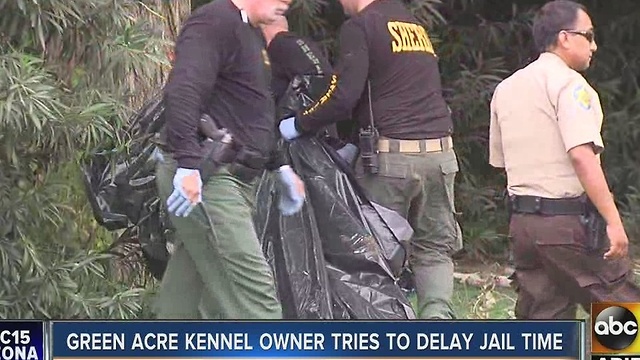Green Acre kennel owner tries to delay jail time after 2014 dog deaths