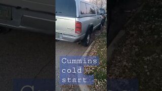 Cumins cold start