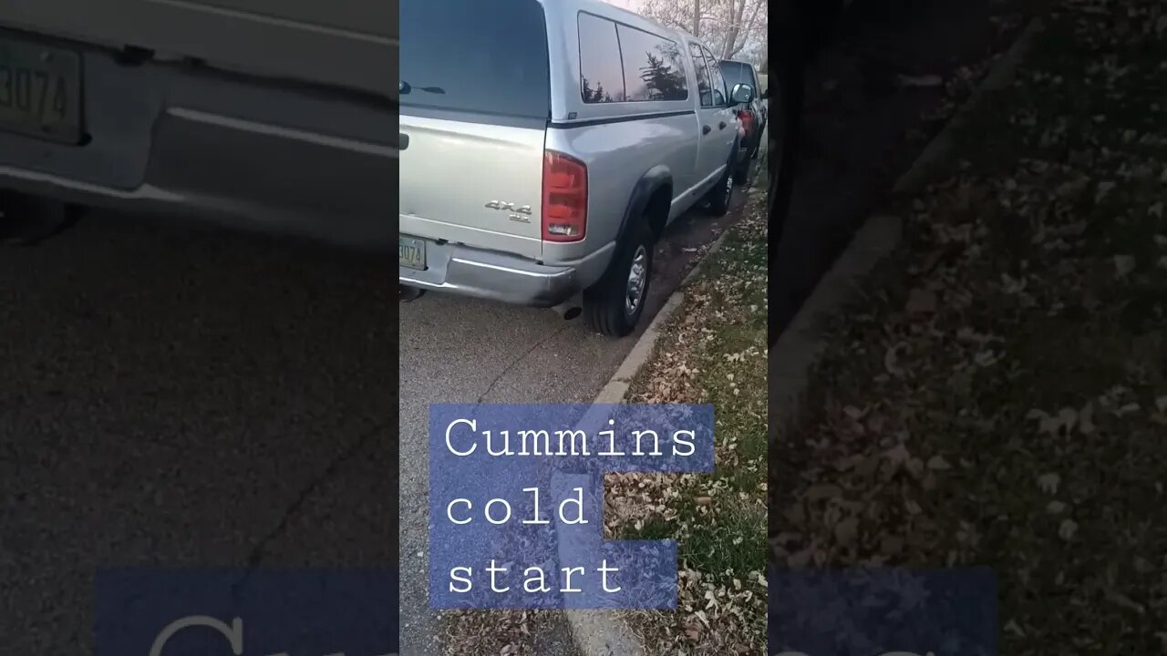 Cumins cold start