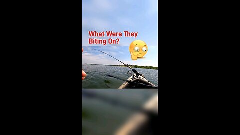 Check Out Today's Catch #kayakfishing #kayak #fishing