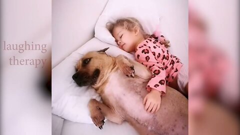 Wow Wow Baby Dog Video Laughing Therapy, Comedy Video