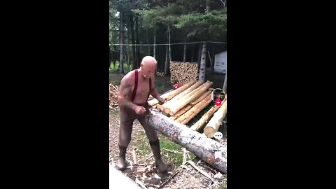 The Wise woodsman