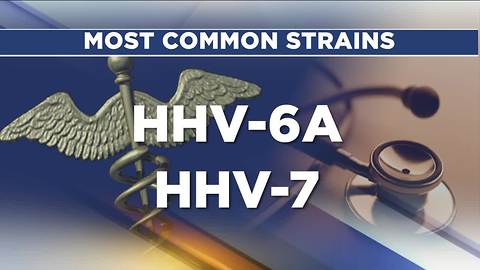 Herpes virus may play role in Alzheimer's, study says