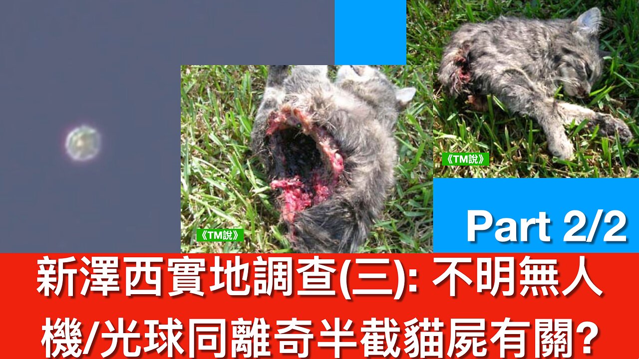新澤西實地調查（三）下半部份 Part 2/2：不明無人機/光球同離奇半截貓屍有關？｜2024年12月21日