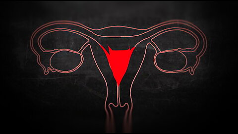 Men Can Menstruate? (#Science)