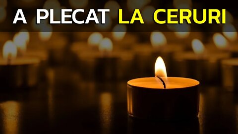 MARELE DOCTOR UNIVERSITAR S-A STINS...