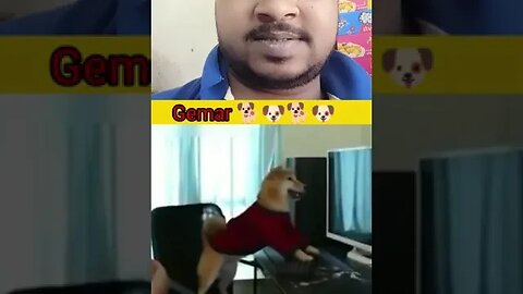 pro gemar dog 🐕🐶🐕🐶#shorts #reaction #trending