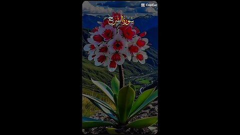 AL QURAN