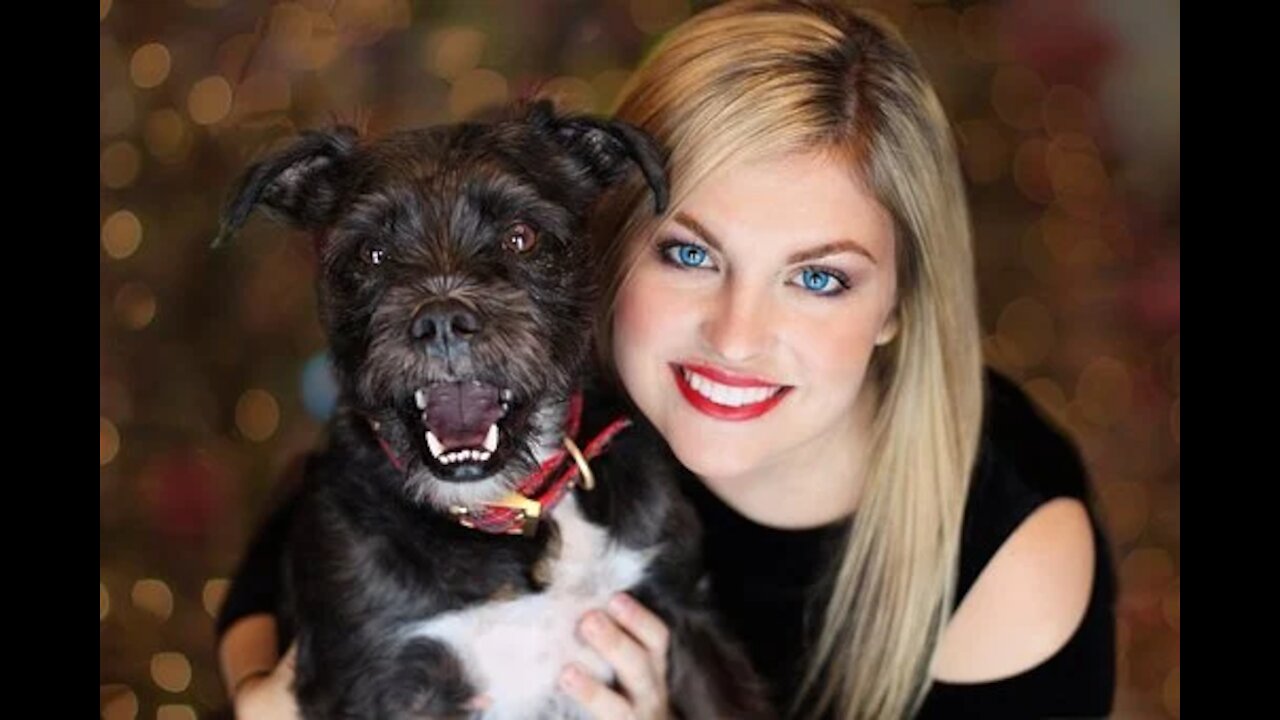 funny dogs video